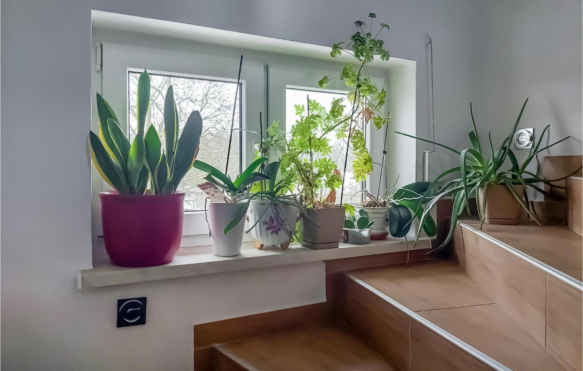 Beautiful Apartment In Moryn With Kitchen Экстерьер фото
